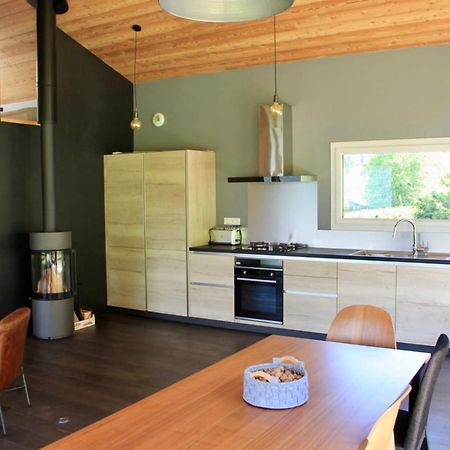 Modern Chalet With Garden シャモニー エクステリア 写真
