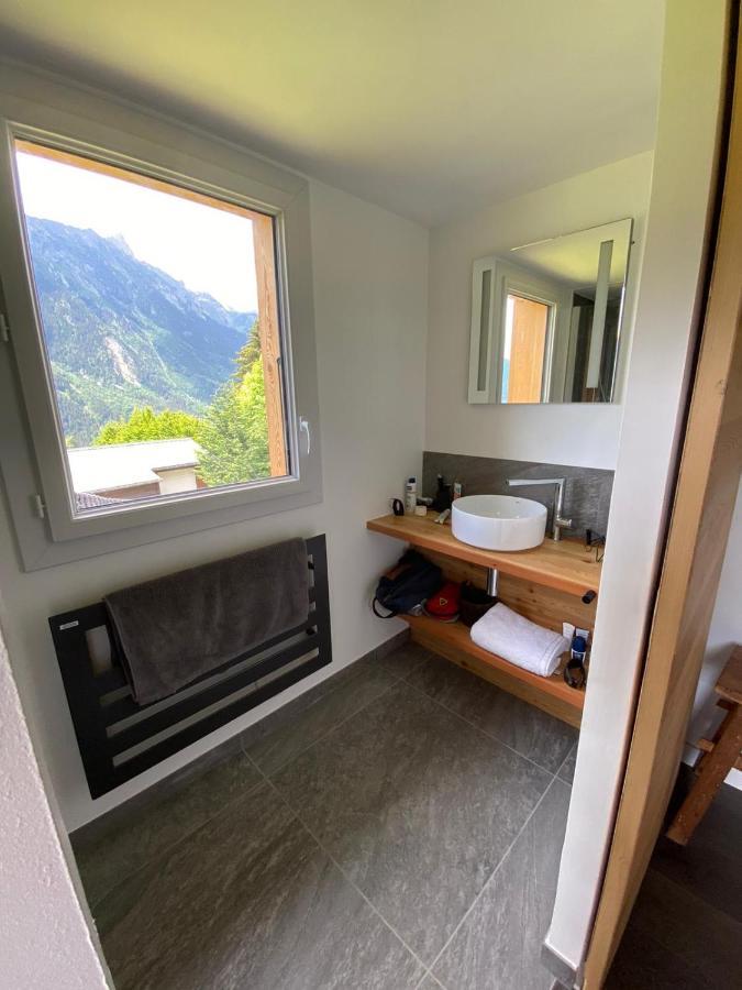 Modern Chalet With Garden シャモニー エクステリア 写真