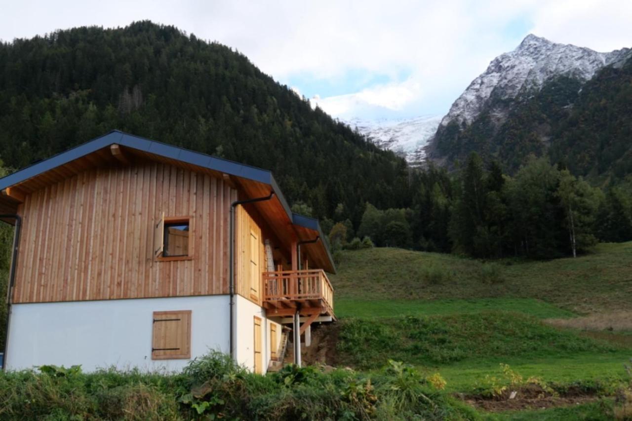 Modern Chalet With Garden シャモニー エクステリア 写真