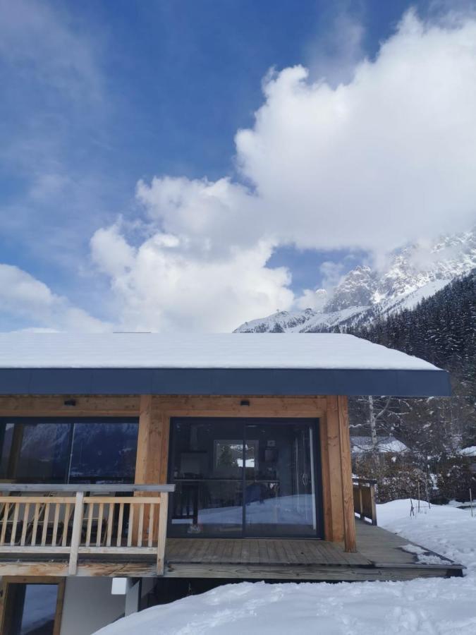 Modern Chalet With Garden シャモニー エクステリア 写真