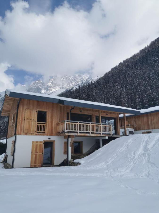 Modern Chalet With Garden シャモニー エクステリア 写真