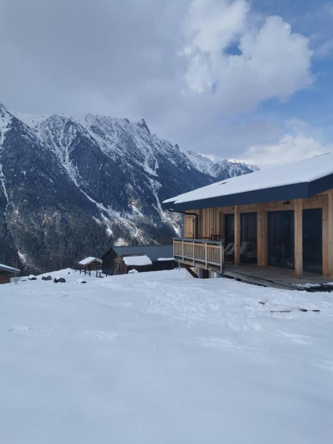 Modern Chalet With Garden シャモニー エクステリア 写真